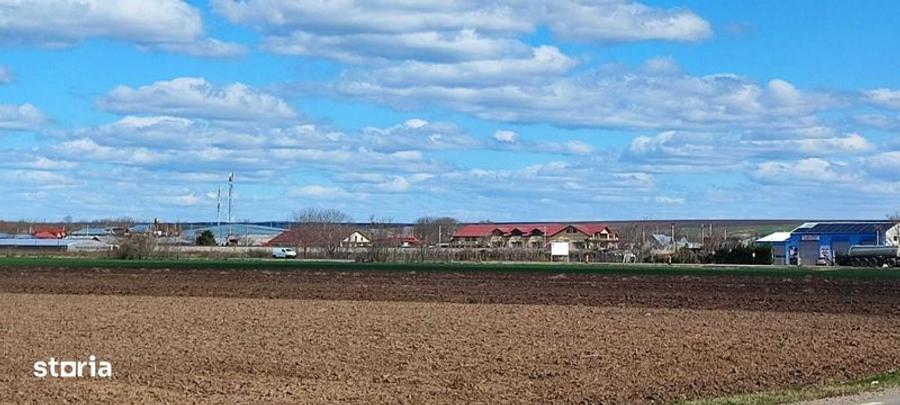 Teren arabil CUDALBI - 2