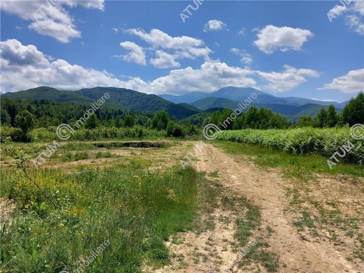 Teren intravilan 3900 mp Porumbacu de Sus, Sibiu - 5