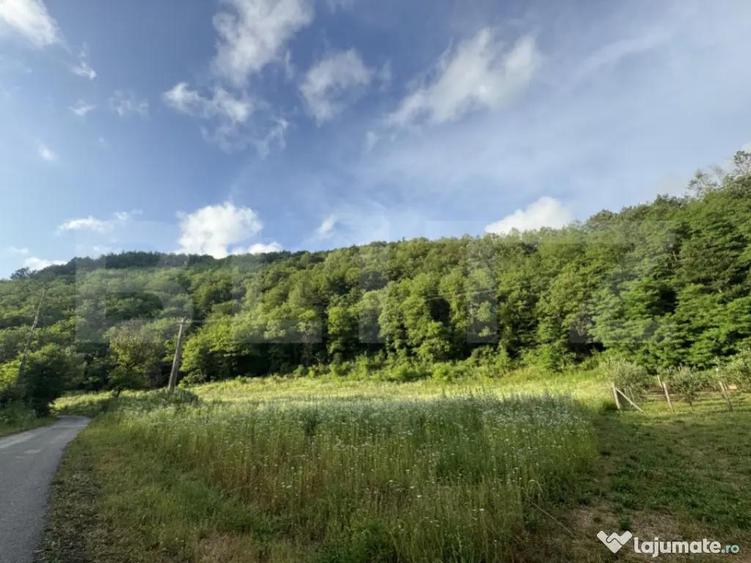 Teren intravilan de 4558 mp - 2