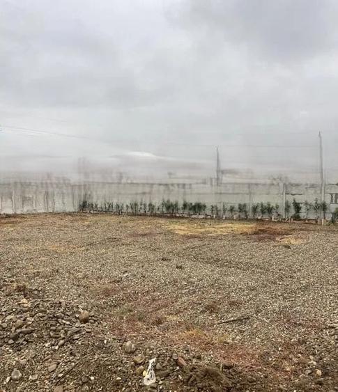 De inchiriat teren pretabil pentru parcare camioane, zona Ciheiului, Oradea, BH - 1