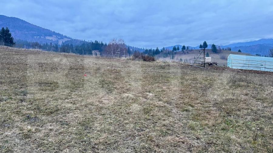 Teren Construcții intravilan de 2500 mp, în Colibița
