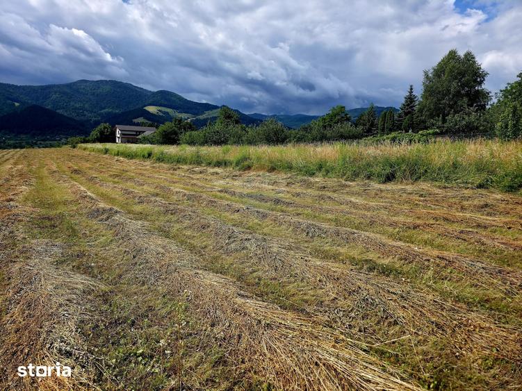 Teren de 600 mp, în Alexandru cel Bun