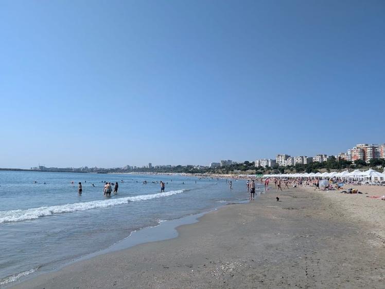 Teren Construcții intravilan de 895 mp, în Nord-Est