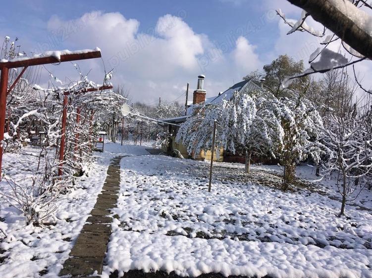 Teren în Vedea