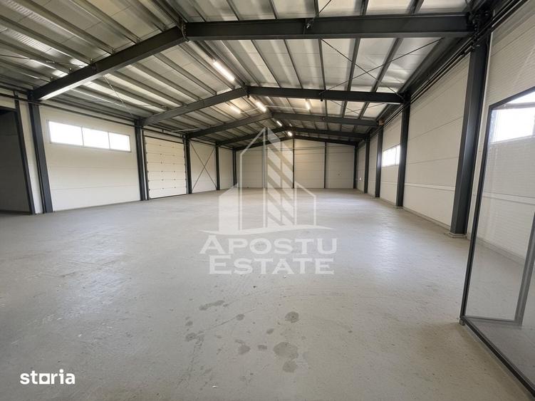 Spațiu comercial, de 550 mp, în Moșnița Nouă