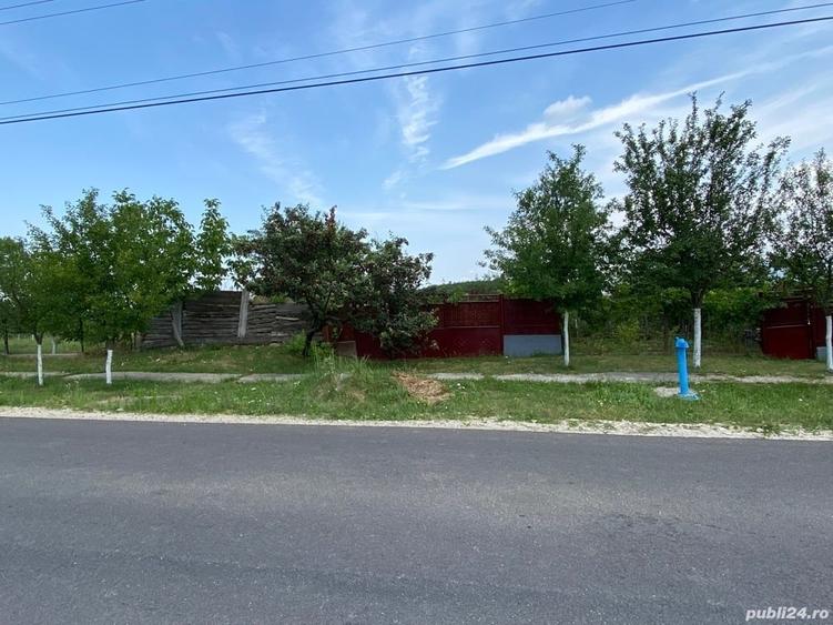 Teren de 1600 mp, în Cuied