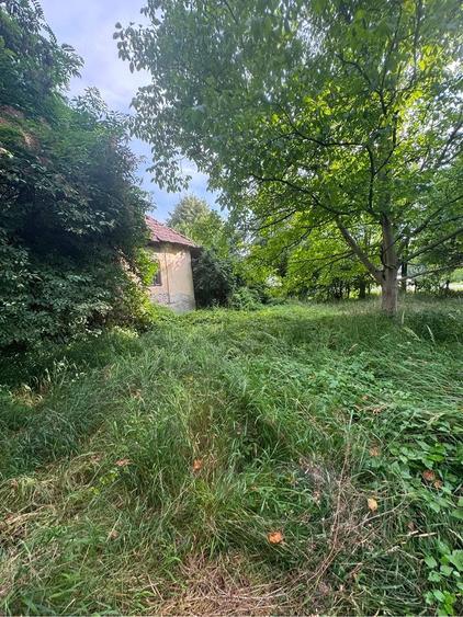 Teren de 1200 mp, în Bunești