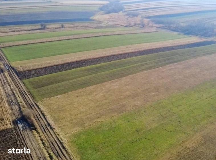 Teren de 5000 mp, în Ilieni