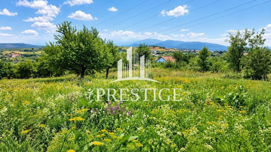 Teren Construcții intravilan de 960 mp, în Daia