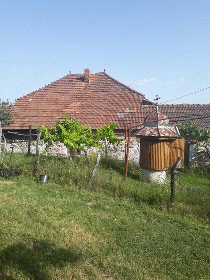 Casa batraneasca+teren de vanzare in sat Radosi,comuna Crasna,judetul Gorj - 2