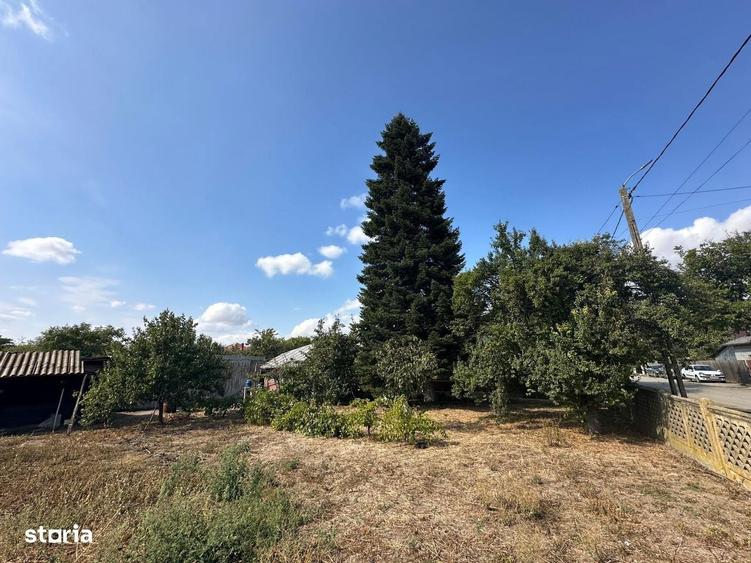 CASA CU TEREN DE VANZARE IN FRUMUSANI, LA 20 DE MINUTE DE BUCURESTI - 4