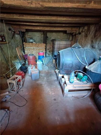 Teren intravilan + casa zona Fintesti - 14