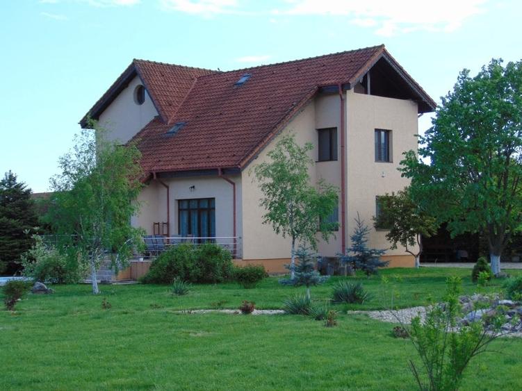 FARA COMISIOANE CASA MOBILATA CU 7 CAMERE 4 BAI P+1+M GARAJ PISCINA pe 4000mp - 2