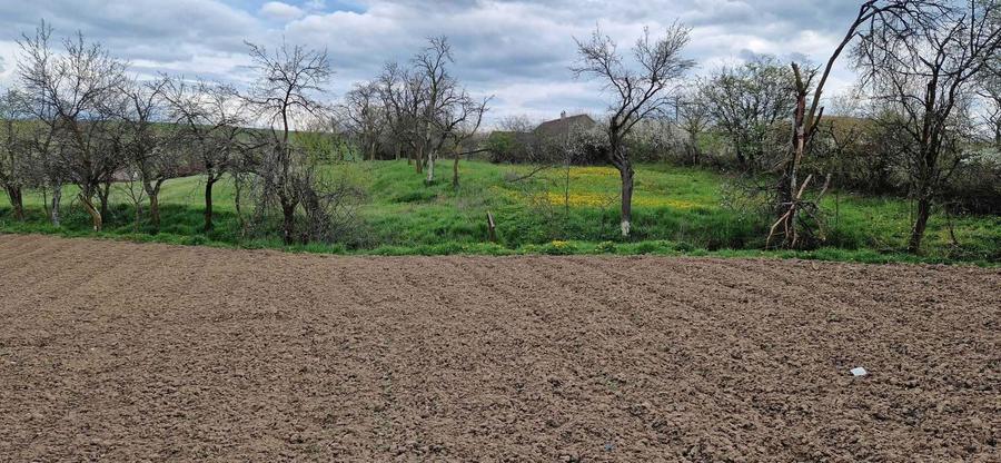 Casa batraneasca - 1