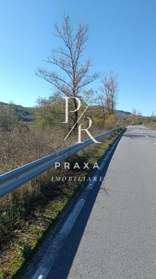 Teren extravilan, 2250 mp, in comuna Vultureni la iesirea spre Borsa! - 3