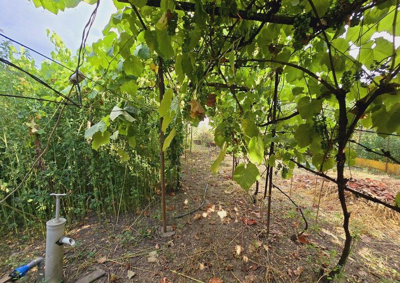 Teren intravilan 633mp in Gradiste - 1