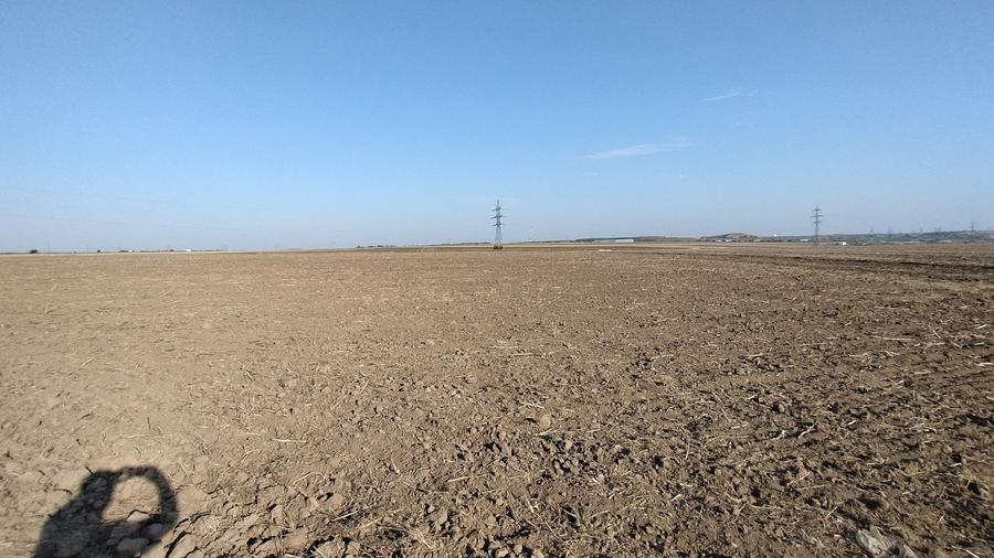 Teren pentru Parc Logistic, hale - Ovidiu - 6