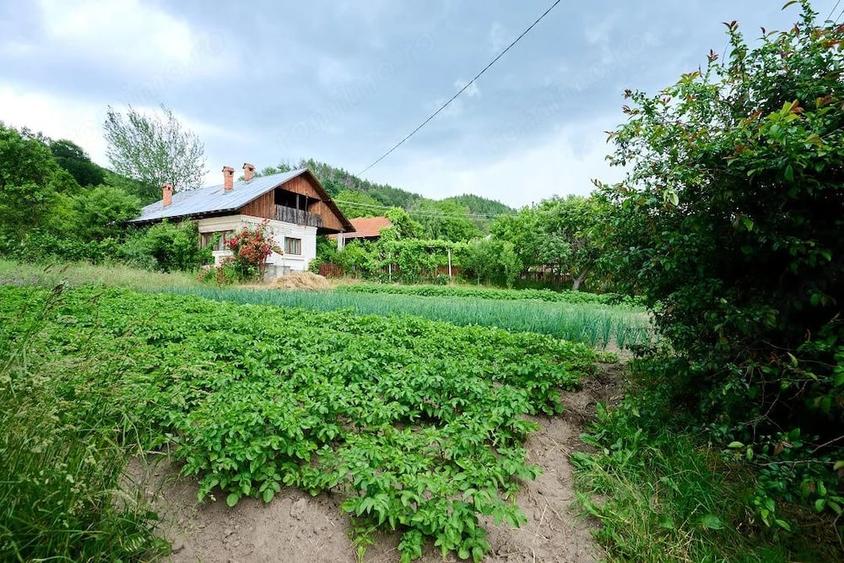 Casă cu 3 camere cu Teren 4696 Mp în Central