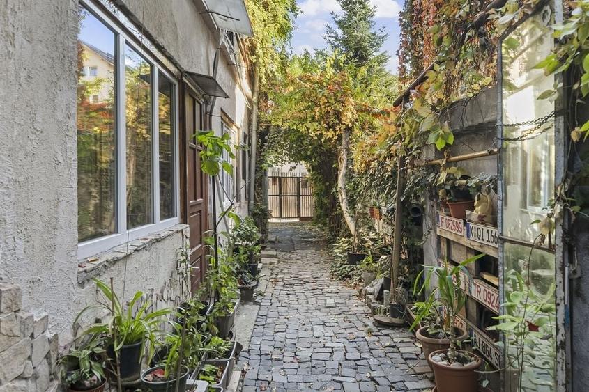 Tiny-Home Ultracentral | DACIA - 10