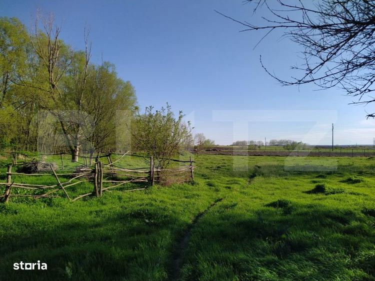 Teren EV si IV cu casa, 29.600 mp, utilitati si acces facil, Albesti - 5