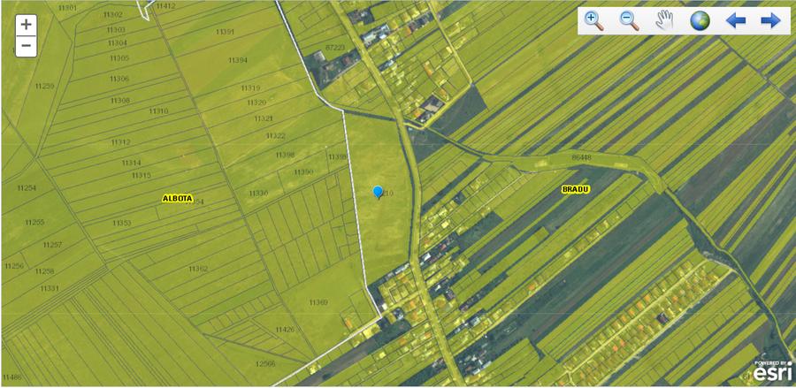 Teren intravilan 33.496 mp, Com. Bradu (fosta Com. Albota), Arges - 6