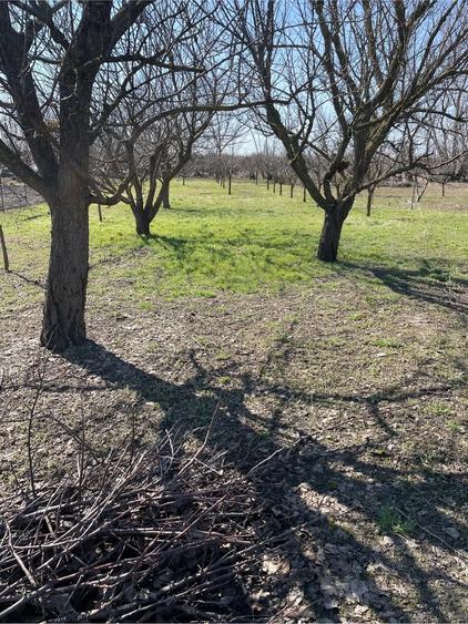 Casa cu teren 2500mp Stradal in zona de sud a Bucurestiului - 2