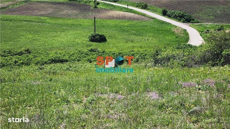 Teren extravilan 2.5 ha investitie ideala, sat Visa - 3