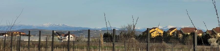 Teren intravilan 1060 m2 - 4