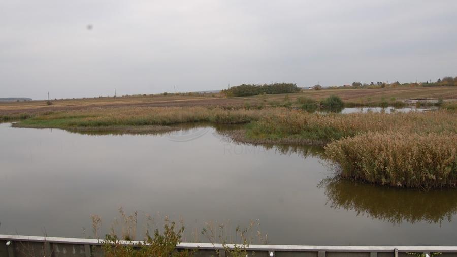 REV0002800 Vila de vanzare cu vedere la lac Laguna Albastra Corbeanca - 27
