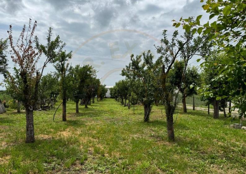 Teren Intravilan - Str. Gorganu, Calinesti - 1268 mp! - 3