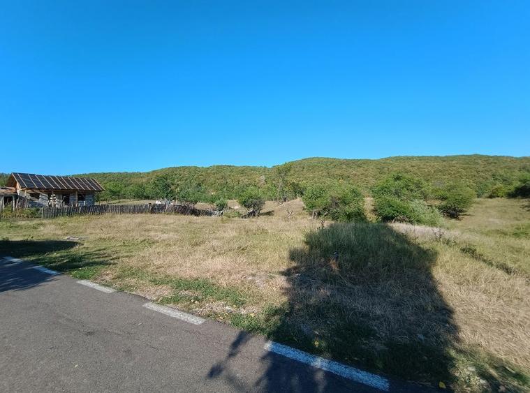 Teren intravilan sat Poiana Cristei - 7