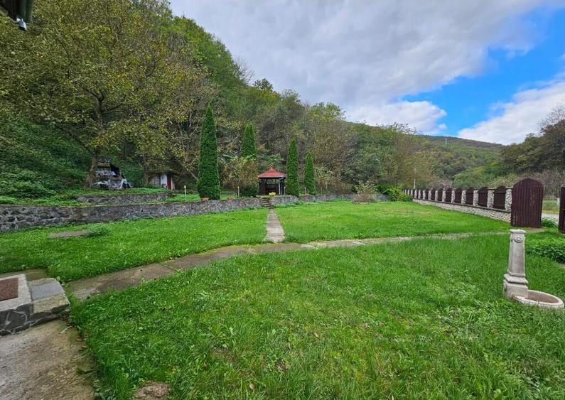 Vila Vetel zona Valea Caoi-OFERTA SPECIALA DE SARBATORI - 16