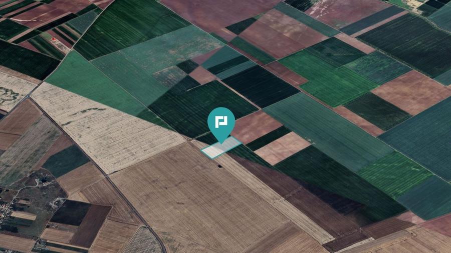 Teren arabil de 4,4Ha în Șimand - 4