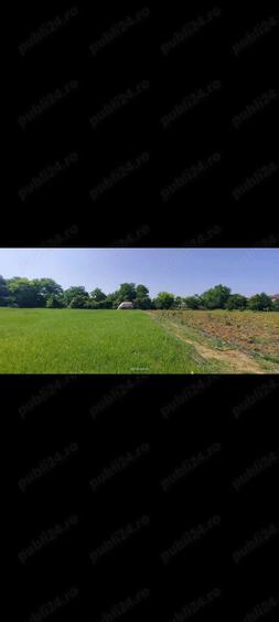 Teren intravilan cur?i construc?ii 2800 mp- Lovrin-Centru de vanzare - 12