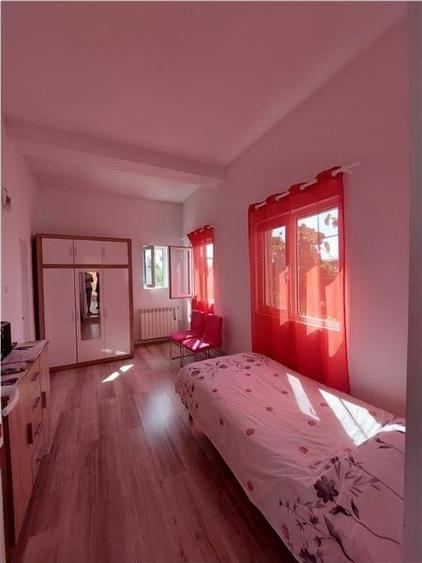 PRET REDUS!!! Casa cu 4 dormitoare in Sofronea - 12