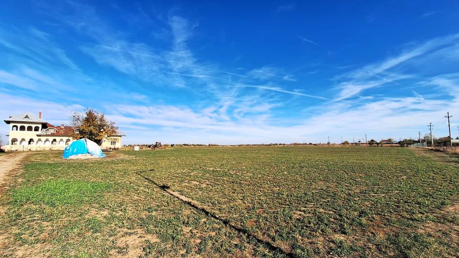 Proprietate deosebita Adunatii Copaceni, teren: 54.141 mp, conac, comision 0% - 7