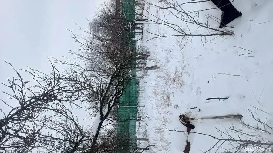 Proprietate spre vanzare - 1