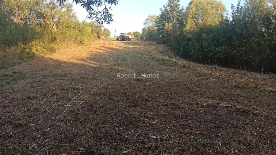 RECO Teren intravilan Husasau de Cris