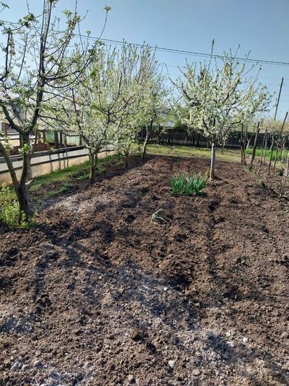 Vand casa ( teren 2.000 mp) in sat Pietrele, jud. Giurgiu - 6