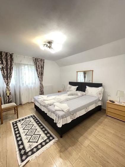 Inchiriere Paste - 2