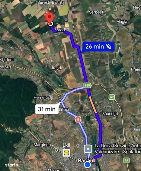 Teren extravilan - Padure de vanzare in Beresti Bistrita - 3