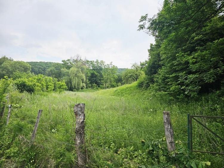 Teren intravilan lângă pădure – 1659 mp,  C.U. P+2E, Vărbilău - 1