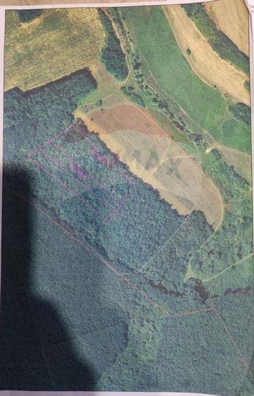 Teren forestier 15,618 mp Santimreu / com. Salard - 2