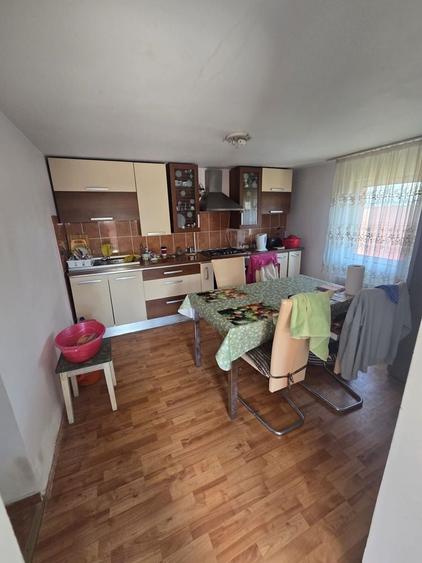 Casa oras Vanju Mare - 3