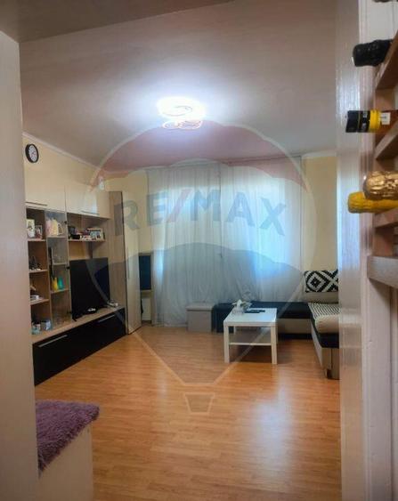 Casa la tara in satul Retis, comuna Bradeni, aproape de ... - 11