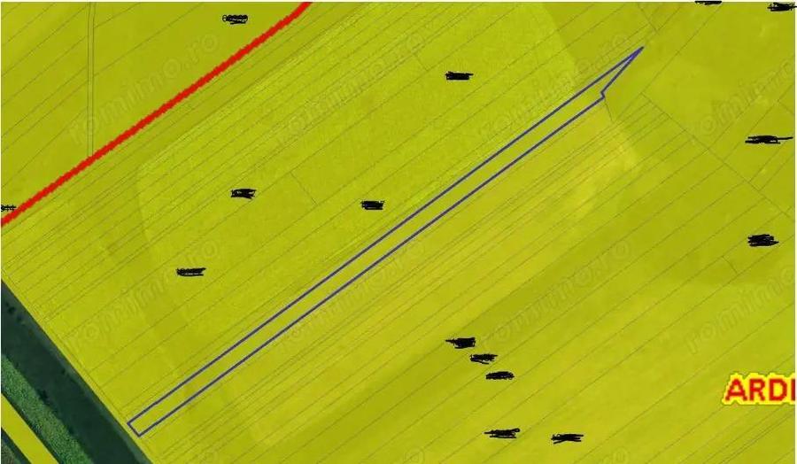 Teren extravilan arabil Ardeoani, ID: R1983077 - 3