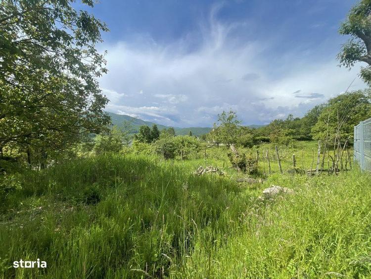 Teren Intravilan 1340mp - Cisnadioara - Sibiu - 3