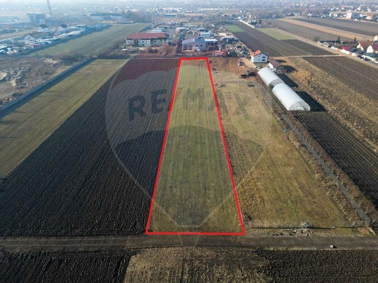 Teren industrial PUZ HALA SERVICE AUTO - 6