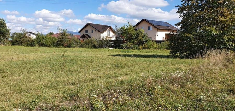 Proprietar Vand Teren 4223 mp - 3