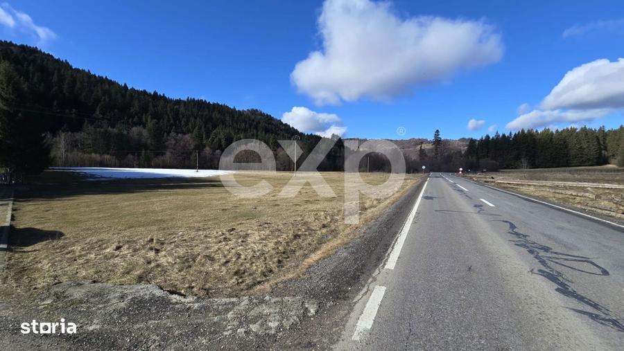 Teren extravilan 19.200 mp DN1A Sacele, Bradet | Front stradal 130 - 4